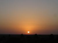 Sonnenaufgang am Rande der Wüste