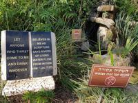 0305_Berg der Seligpreisungen