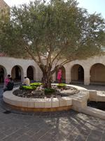 0314_Brotvermehrungskirche