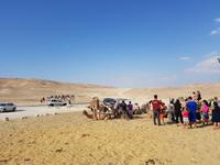 0535_bei den Beduinen