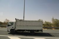 ein Kameltransporter