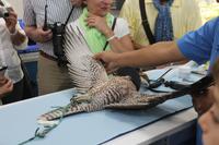 in der Falkenklinik (6)