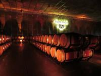 Bodega Torres