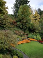 Butchart Gardens