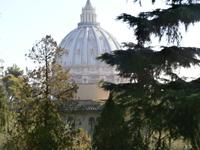 Vatikanische Gärten Kuppel Petersdom