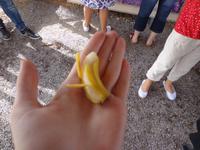 228 Palmenstrand Vai