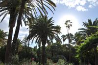 Santa Cruz de Tenerife 