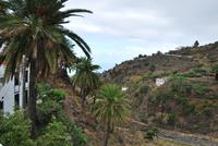 Real Santuario de Nuestra Señora de Las Nieves