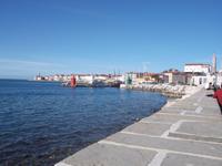 Piran, Ansicht vom Hafen aus
