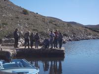 ... war da nicht ein Octopus???