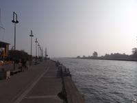 Porto Garibaldo, eine der Po-Mündungen