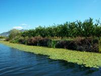 Bootsfahrt auf der Neretva 