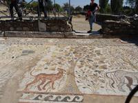Bodenmosaik in Heraclea