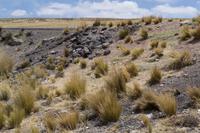 Busfahrt von Arequipa nach Puno (23)