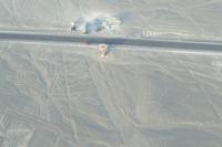 Der Baum und die Hand