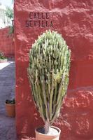 Kloster Santa Catalina  (15)