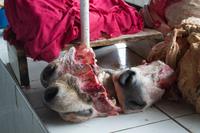 Markthalle von Cusco (25)