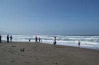 Panoramafahrt entlang der Pazifikküste (2)