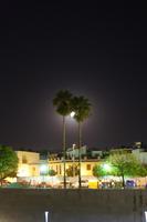 Córdoba, Palmen im Mondlicht