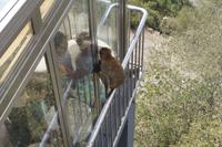 Wir müssen draußen bleiben