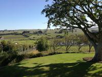  Stellenbosch Weinberge