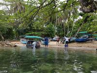 17 Tage Rundreise Costa Rica – einzigartige Naturreise San José – Vulkane Poas & Arenal – Braulio Carrillo NP – Cahuita NP – Tortuguero NP – Monteverde – Santa Elena – Carara NP – Marino Ballen (388)