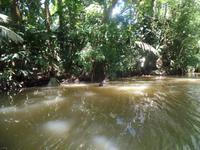 17 Tage Rundreise Costa Rica – einzigartige Naturreise San José – Vulkane Poas & Arenal – Braulio Carrillo NP – Cahuita NP – Tortuguero NP – Monteverde – Santa Elena – Carara NP – Marino Ballen (713)