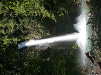 17 Tage Rundreise Costa Rica – einzigartige Naturreise San José – Vulkane Poas & Arenal – Braulio Carrillo NP – Cahuita NP – Tortuguero NP – Monteverde – Santa Elena – Carara NP – Marino Ballen (903)