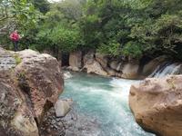 17 Tage Rundreise Costa Rica – einzigartige Naturreise San José – Vulkane Poas & Arenal – Braulio Carrillo NP – Cahuita NP – Tortuguero NP – Monteverde – Santa Elena – Carara NP – Marino Ballen (1381)