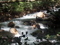 17 Tage Rundreise Costa Rica – einzigartige Naturreise San José – Vulkane Poas & Arenal – Braulio Carrillo NP – Cahuita NP – Tortuguero NP – Monteverde – Santa Elena – Carara NP – Marino Ballen (1420)