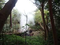 17 Tage Rundreise Costa Rica – einzigartige Naturreise San José – Vulkane Poas & Arenal – Braulio Carrillo NP – Cahuita NP – Tortuguero NP – Monteverde – Santa Elena – Carara NP – Marino Ballen (1454)