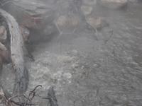 17 Tage Rundreise Costa Rica – einzigartige Naturreise San José – Vulkane Poas & Arenal – Braulio Carrillo NP – Cahuita NP – Tortuguero NP – Monteverde – Santa Elena – Carara NP – Marino Ballen (1462)