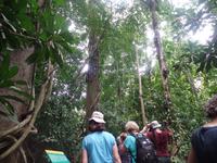 17 Tage Rundreise Costa Rica – einzigartige Naturreise San José – Vulkane Poas & Arenal – Braulio Carrillo NP – Cahuita NP – Tortuguero NP – Monteverde – Santa Elena – Carara NP – Marino Ballen (1554)