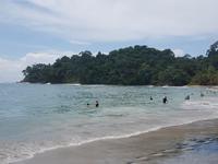 17 Tage Rundreise Costa Rica – einzigartige Naturreise San José – Vulkane Poas & Arenal – Braulio Carrillo NP – Cahuita NP – Tortuguero NP – Monteverde – Santa Elena – Carara NP – Marino Ballen (1596)