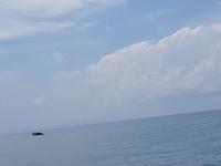 17 Tage Rundreise Costa Rica – einzigartige Naturreise San José – Vulkane Poas & Arenal – Braulio Carrillo NP – Cahuita NP – Tortuguero NP – Monteverde – Santa Elena – Carara NP – Marino Ballen (1771)