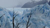 Perito Moreno-Gletscher