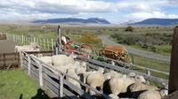 Estancia El Calpon 