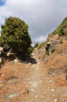 Wir machen eine kleine Wanderung...