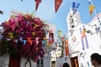 Blühende Bougainville auf Mykonos
