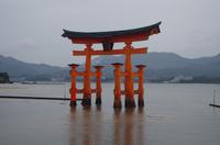 Torii des Itsukushima-Schreins - Miyajima