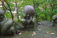 Tierkreiszeichen - Hase