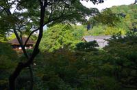 Ginkaku-ji - Silberner Pavillon - Kyoto