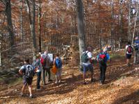 IMG_9966 über Stock und Stein