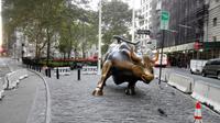 Charging Bull
