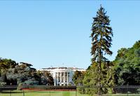 Das Weiße Haus in Washington