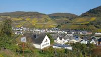 Mosel im Herbst