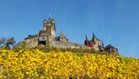Reichsburg- Cochem