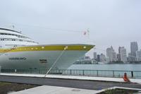 MS Hamburg vor Windsor