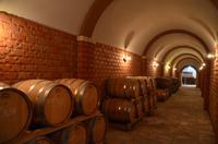 145 Potomje, im Weinkeller von Matusko