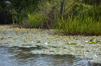 241 Bootsfahrt im Neretvadelta